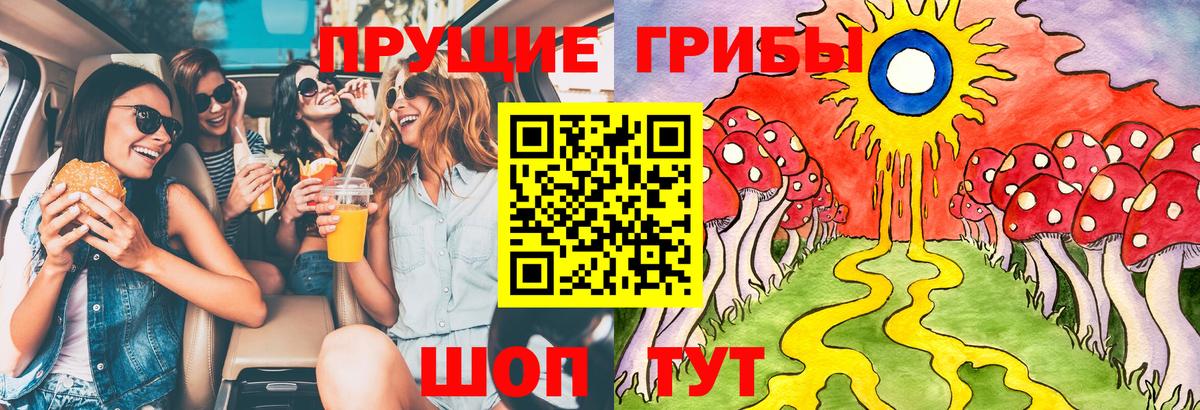 магазин продажи наркотиков  Галлюциногенные грибы Psilocybine cubensis  Вход с VPN  Иваново 