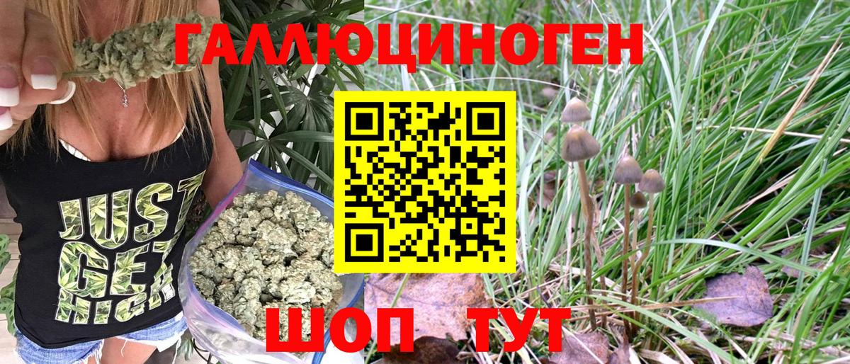 Галлюциногенные грибы MAGIC MUSHROOMS Иваново